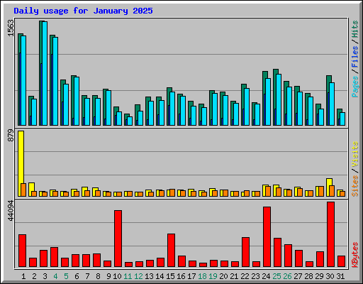 Daily usage for January 2025