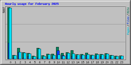 Hourly usage for February 2025