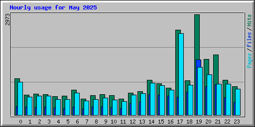 Hourly usage for May 2025