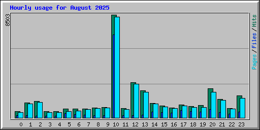 Hourly usage for August 2025